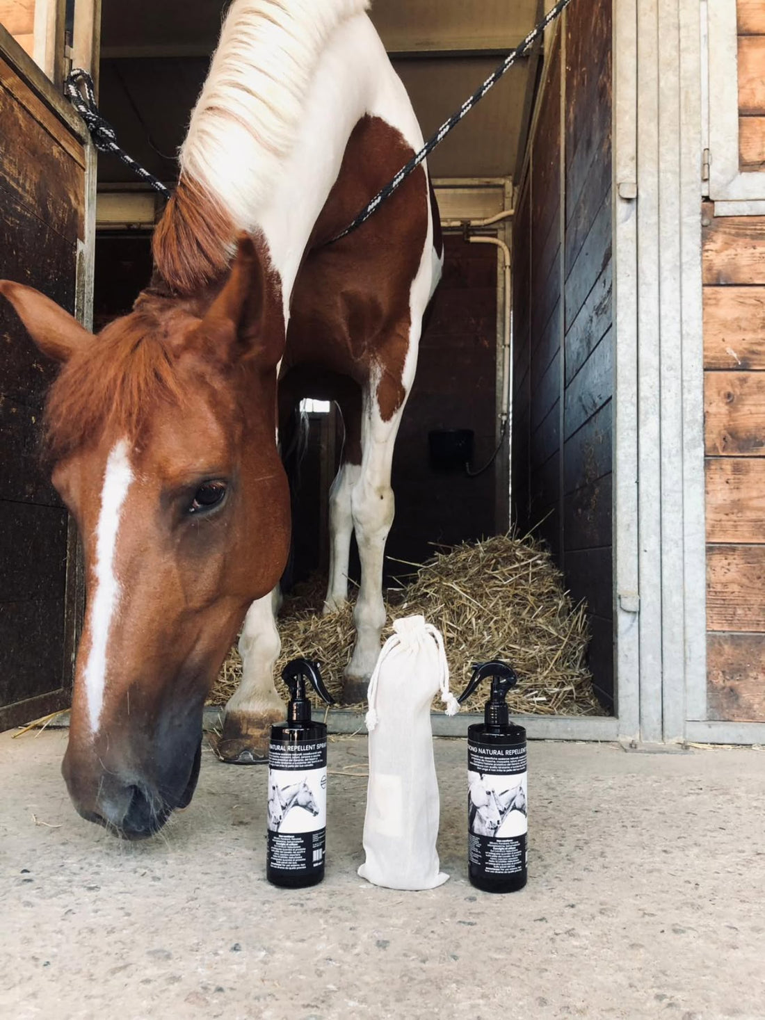India, cavalla protetta dal caldo estivo con routine naturale tu.sei horse