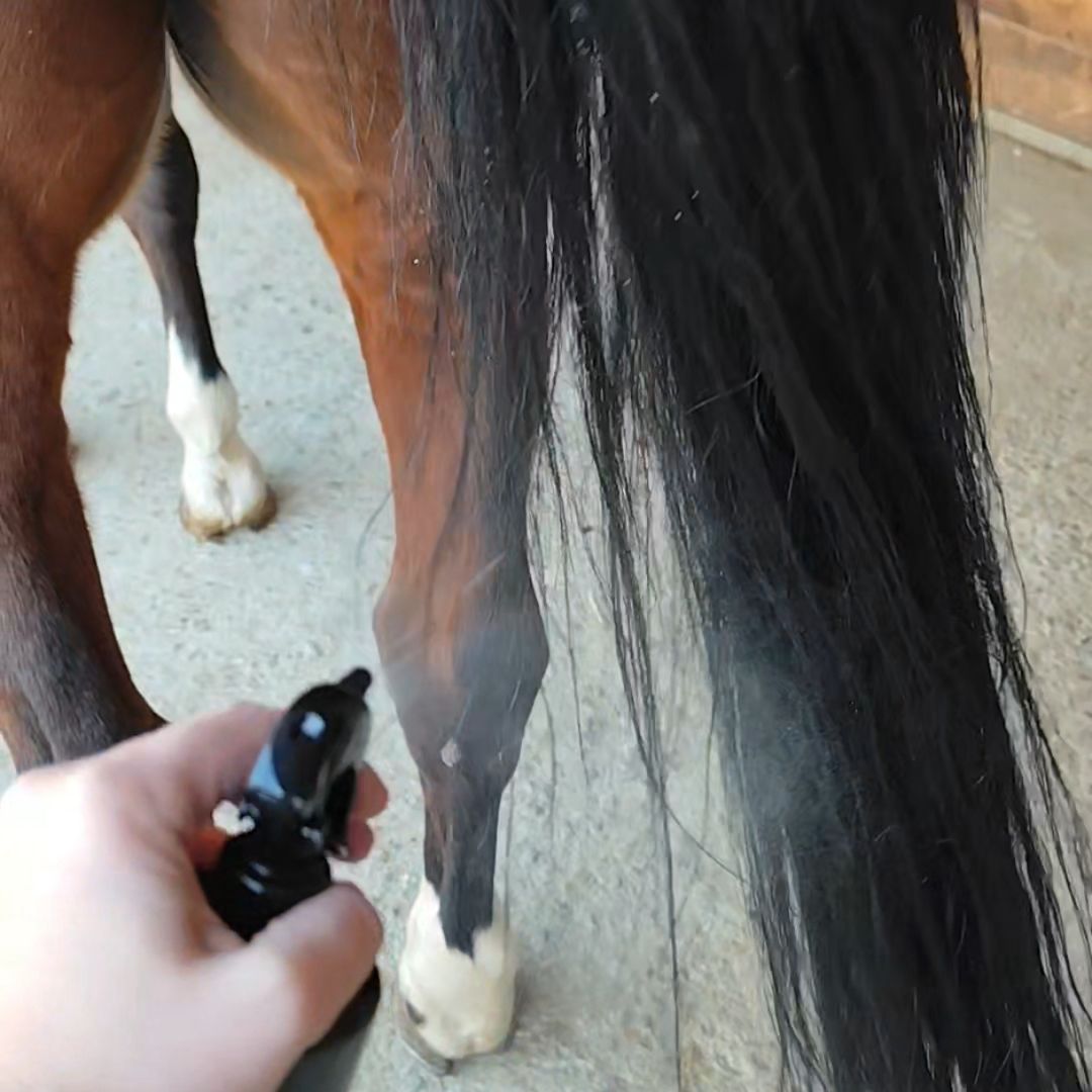 PRESTIGE POWER GROOM – Spray Districante Professionale 500 ml