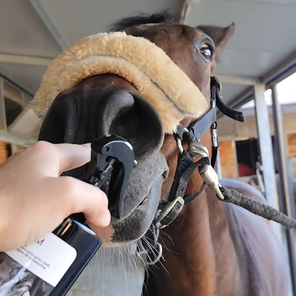 PRESTIGE POWER GROOM – Spray Districante Professionale 500 ml