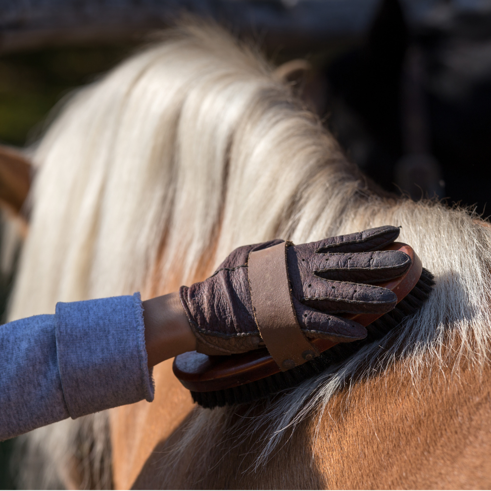 PRESTIGE POWER GROOM - Districante Professionale per Criniera | Olio Argan e Aloe Vera