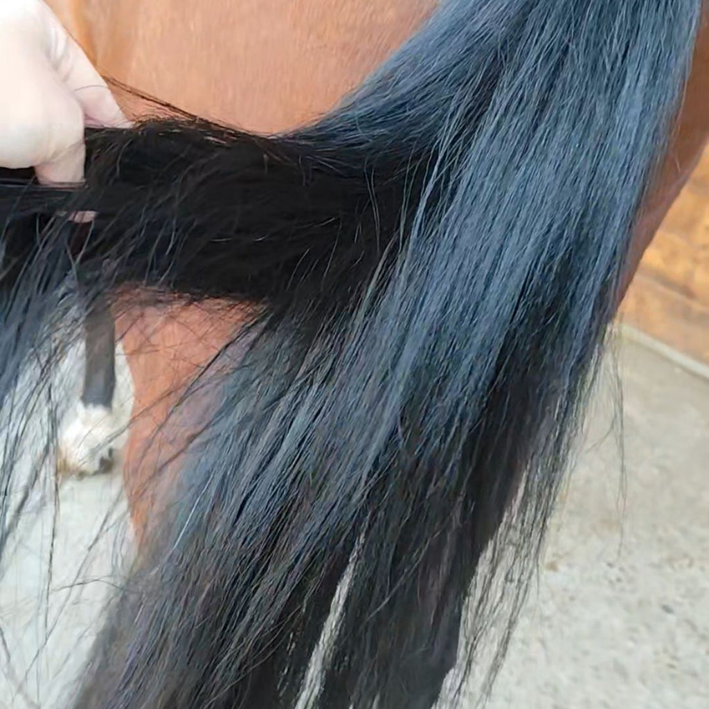 PRESTIGE POWER GROOM – Spray Districante Professionale 500 ml